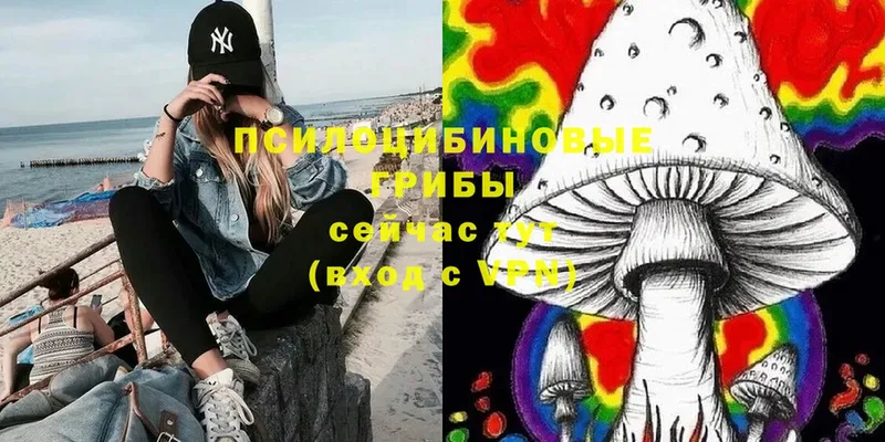 Псилоцибиновые грибы Magic Shrooms  Лянтор 